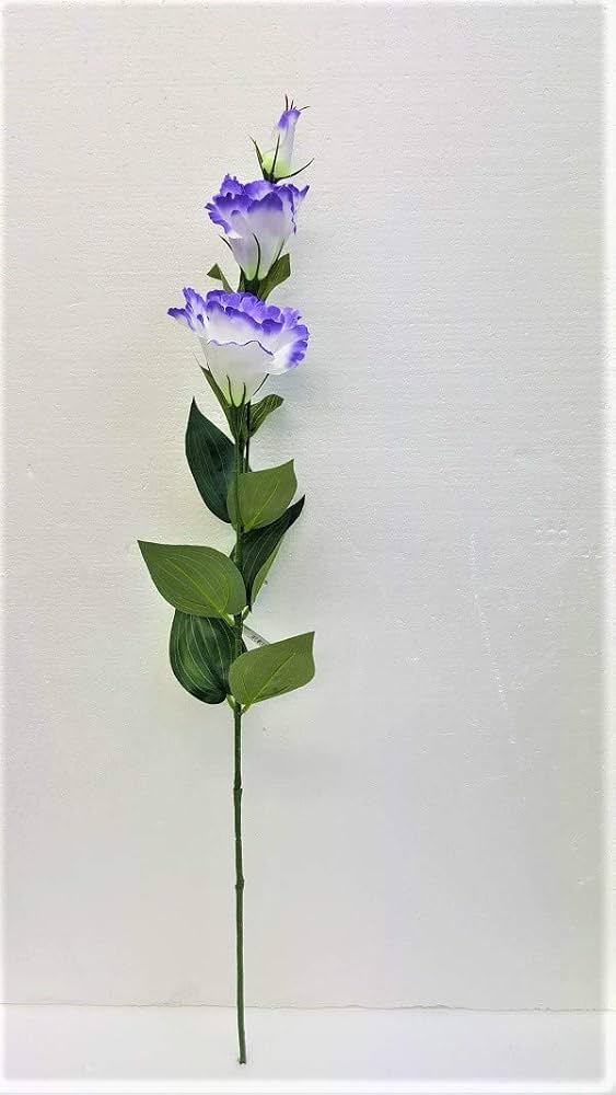 刺繍花　トルコキキョウ　手鞠 植木紅匠 花の刺繍画「トルコききょう」 - YouTube